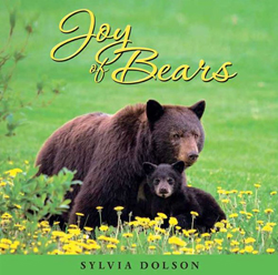 Joy of Bears book review