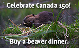 160-x-98-badge-beaver-dinner-.jpg