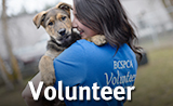 160-x-98-badge-volunteer-dog.jpg