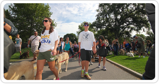 Scotiabank & Bc Spca Paws For A Cause - The Bc Spca