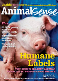 Animal Sense magazine
