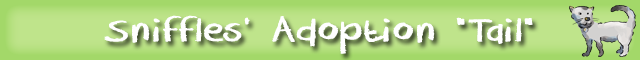 Adoption-tail-banner.png