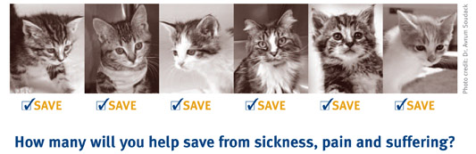 How many will you help save? Cat crisis banner