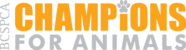 Champions for Animals logo