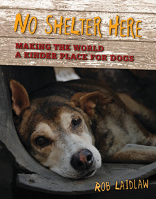 Book Review: No Shelter Here