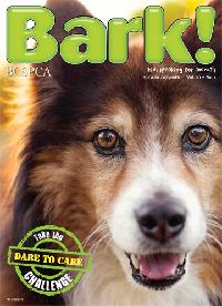 Bark Cover 2013
