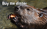 Beaver buy me dinner_badge.jpg