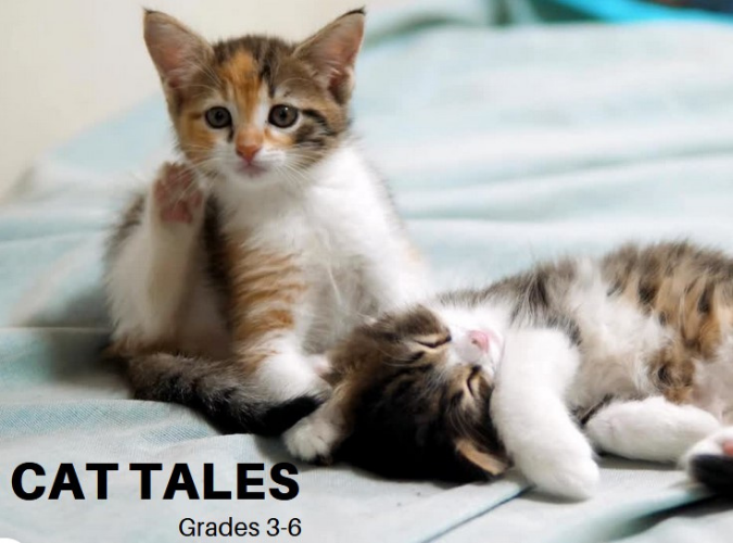 Cat Tales.png