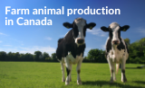 FS badge (160x98) - Farm animal production.png