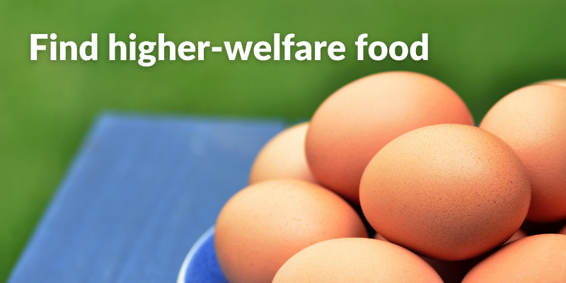 FarmSense badge 800 x 400 - higher welfare food.png