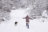 New-Year's-resolutions-dog-run-snow200.jpg