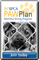 Paw-Plan-Badge-dog-kennel.gif