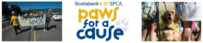 paws for a cause walk banner 3
