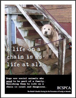 Life on a chain poster