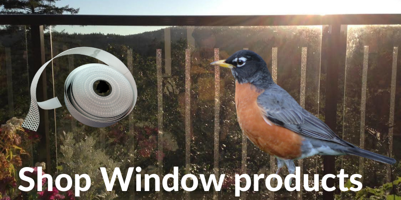 SHOP - Window products.png