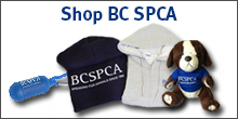 Shop BC SPCA