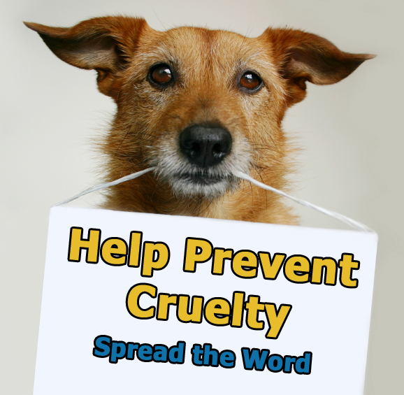 Help Prevent Cruelty