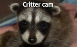 WildSense_Critter cam_badge.png