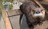 critter cam_2019_160 x 98 badge.png