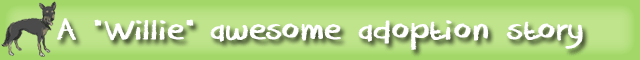 e-kids_awesome-banner_green-dog.png
