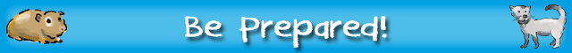 e-kids_be-prepared-banner_blue.png