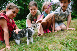 e-kids_campers-meeting-a-kitten-on-a-leash_300.png