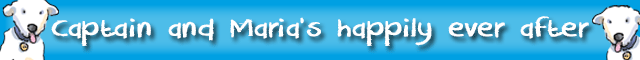 e-kids_dogs-banner_blue.png