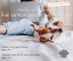 e-kids_fall-virtual-youth-workshops-graphic_REV_300.png