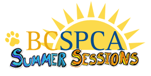 e-teacher_Summer-Sessions-Logo-rays_300.png