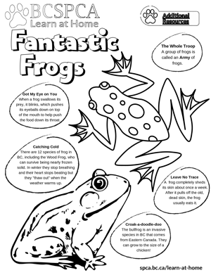 ekids_Frogs-colouring-sheet_300.png