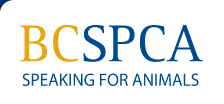 BC SPCA - Speaking for Animals