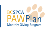 BCSPCA PawPlan - Monthly Giving Program
