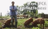 meet-farmers-badge.png