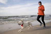 runner-and-dog-Sun-Run200.jpg