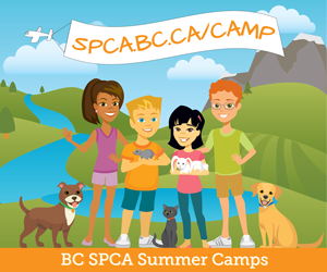 summer-camp-image_300x250.png