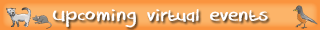 virtual_orange-banner.png