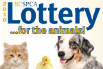 2010 Lottery.. for the animals