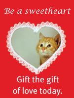 Be a sweetheart to animals in need. Donate today