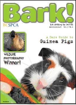 Bark! Spring 2010 Cover