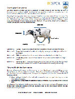 Farm Factsheet